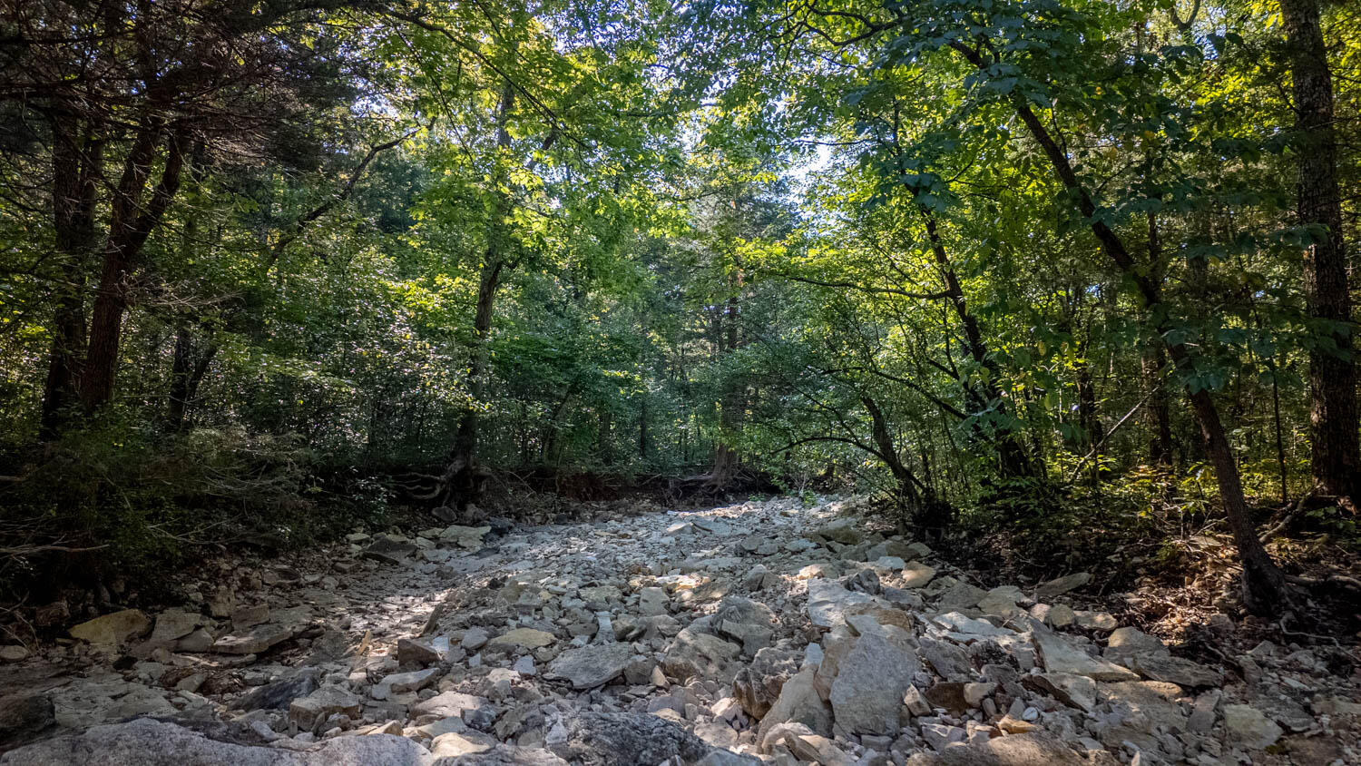 Land for sale – 000  Calhan Circle   Clarkridge, AR