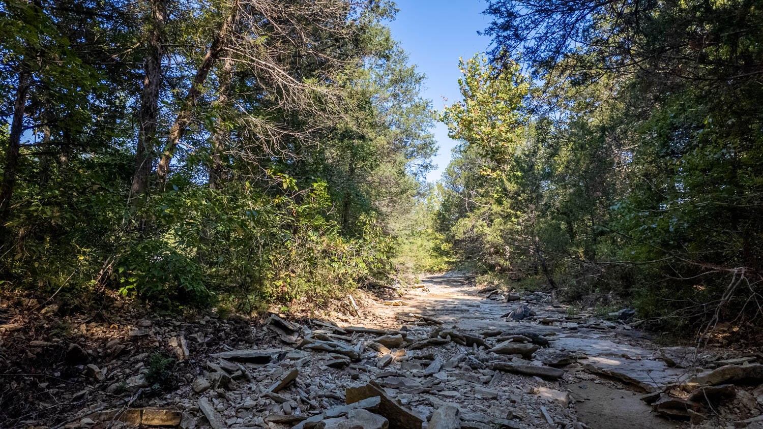 Photo 5 - Land for sale – 000  Calhan Circle   Clarkridge, AR