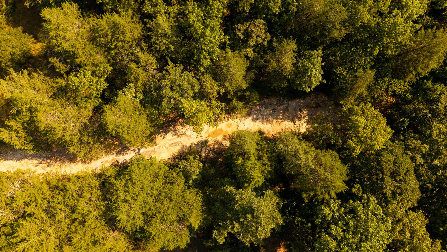 Photo 13 - Land for sale – 000  Calhan Circle   Clarkridge, AR
