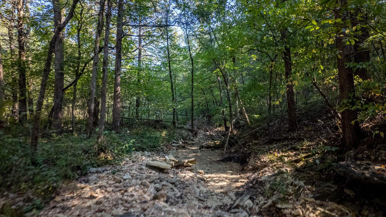 Photo 7 - Land for sale – 000  Calhan Circle   Clarkridge, AR