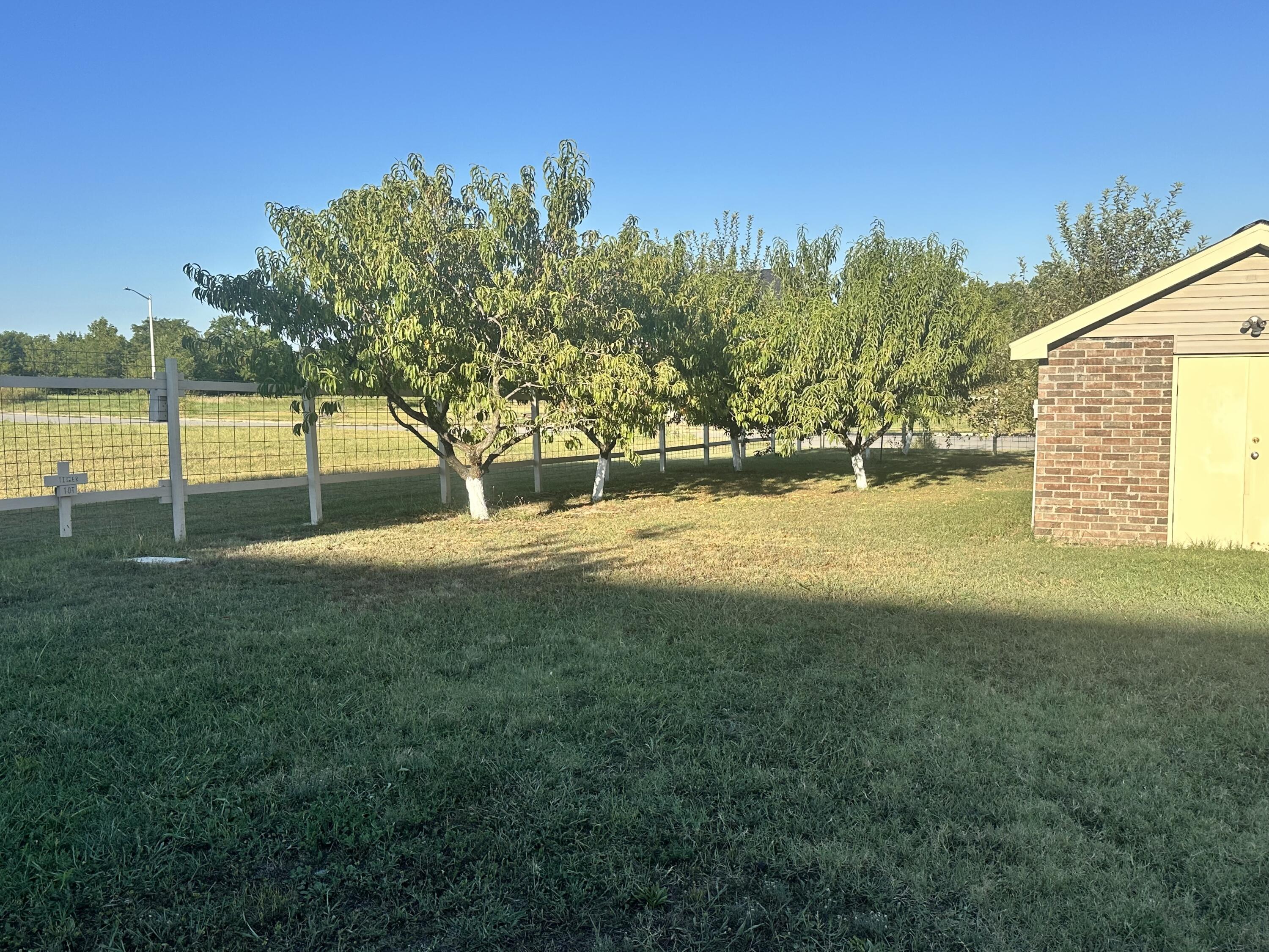 Photo 76 - Residential for sale – 380 S Hartford Avenue  Bolivar, MO