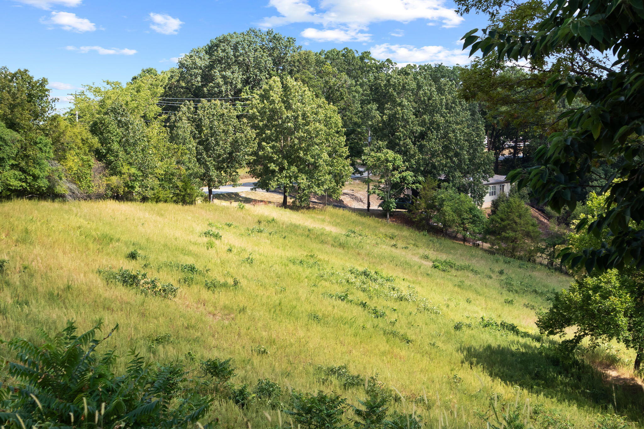 Photo 6 - Land for sale – 3839  State Highway 265   Branson, MO