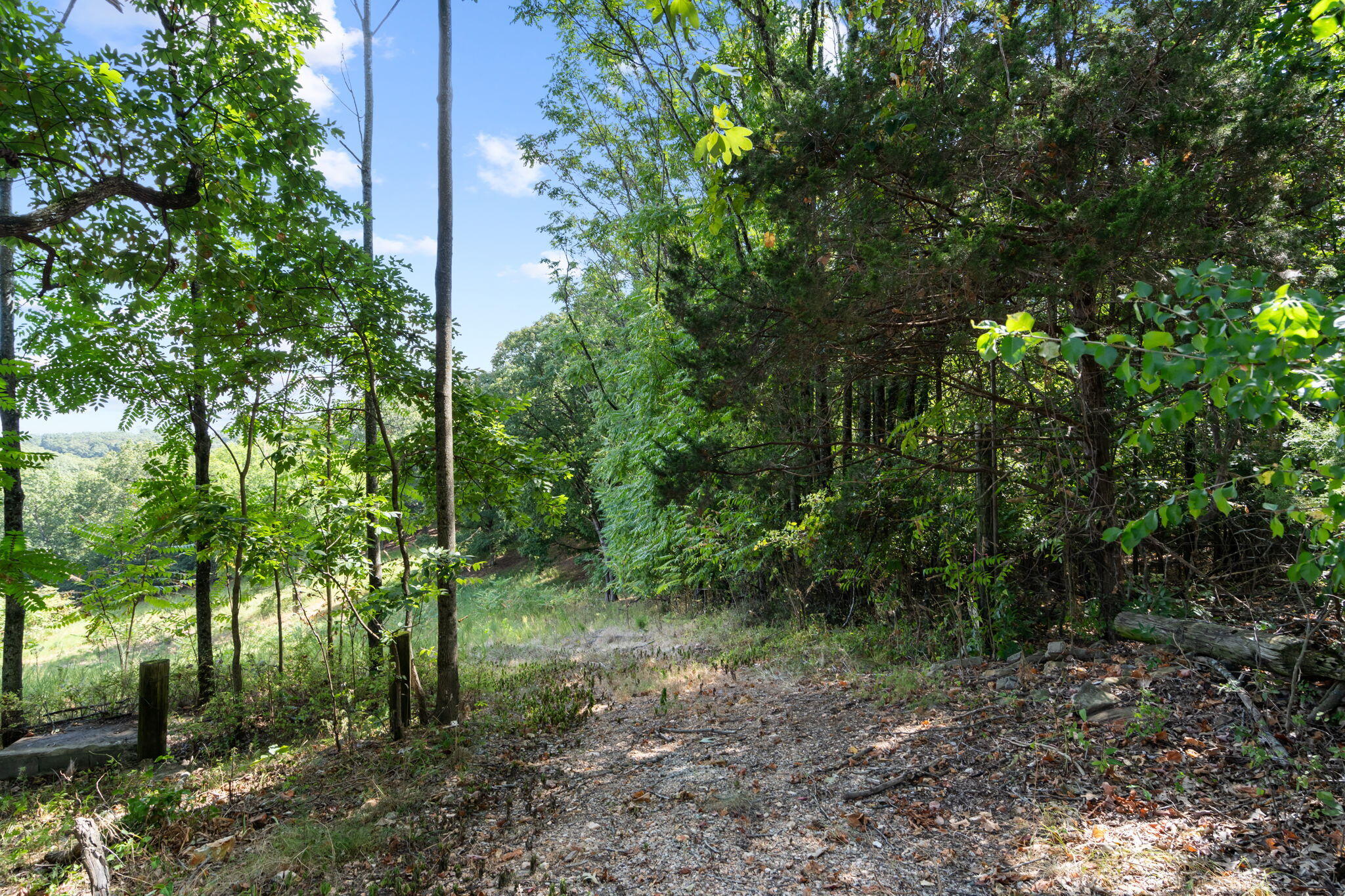 Photo 9 - Land for sale – 3839  State Highway 265   Branson, MO