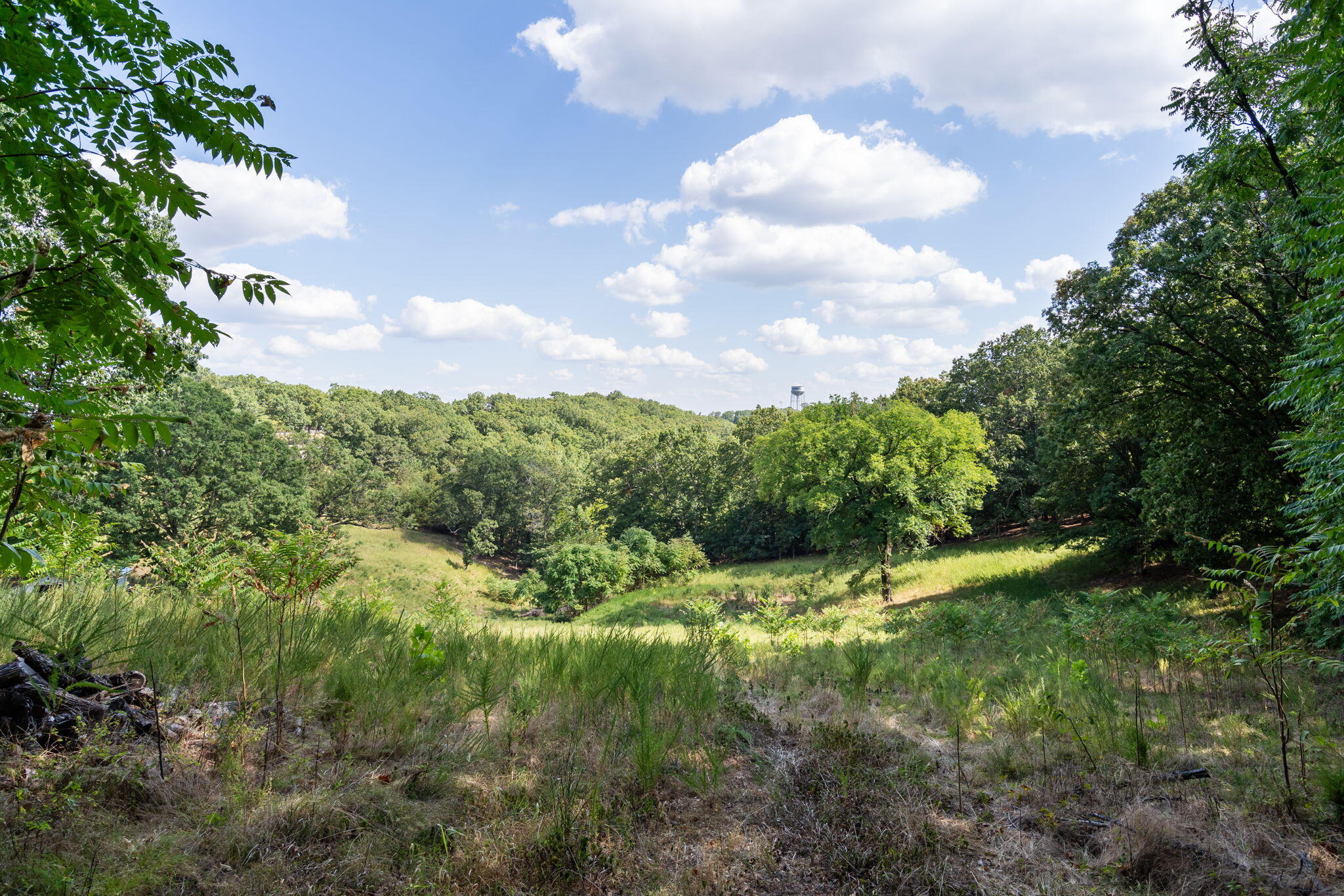 Photo 10 - Land for sale – 3839  State Highway 265   Branson, MO