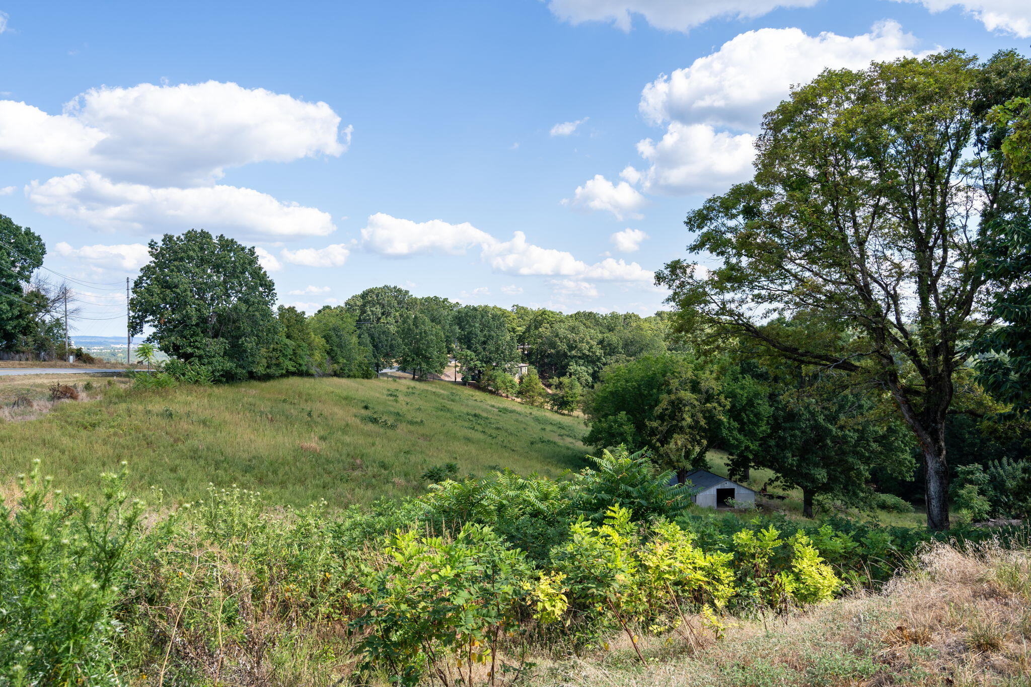 Photo 13 - Land for sale – 3839  State Highway 265   Branson, MO