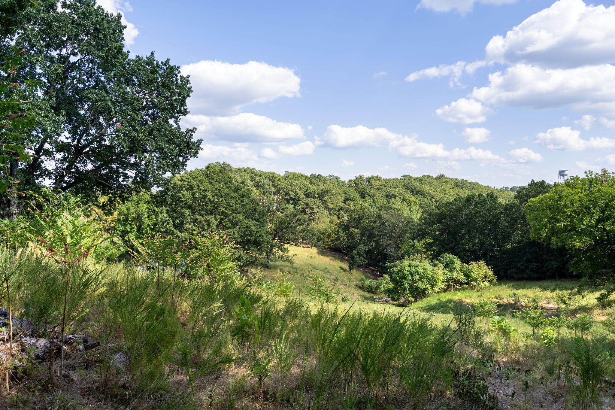 Photo 15 - Land for sale – 3839  State Highway 265   Branson, MO