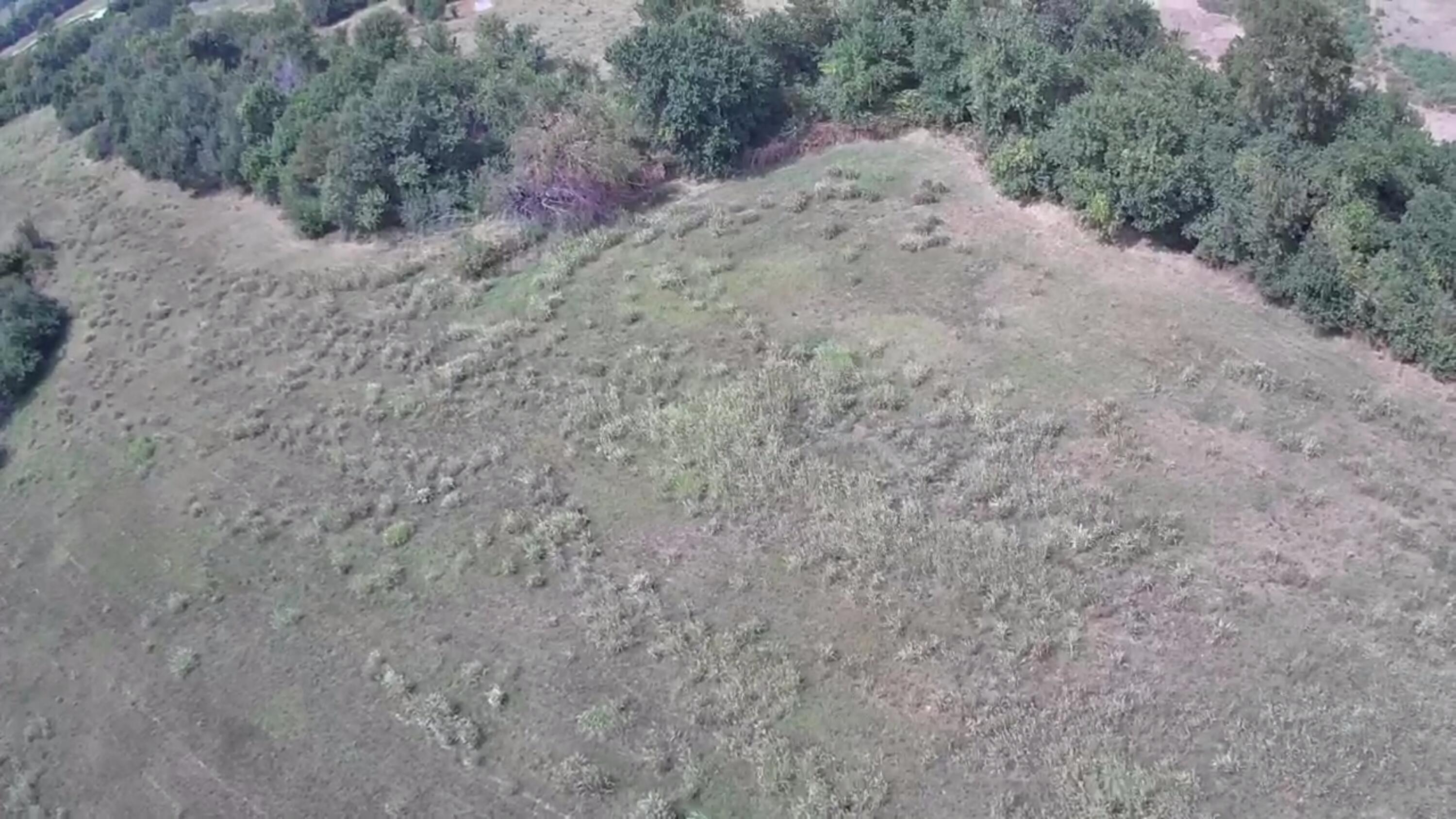 Photo 8 - Land for sale – 000 S Linebarger   Fairview, MO