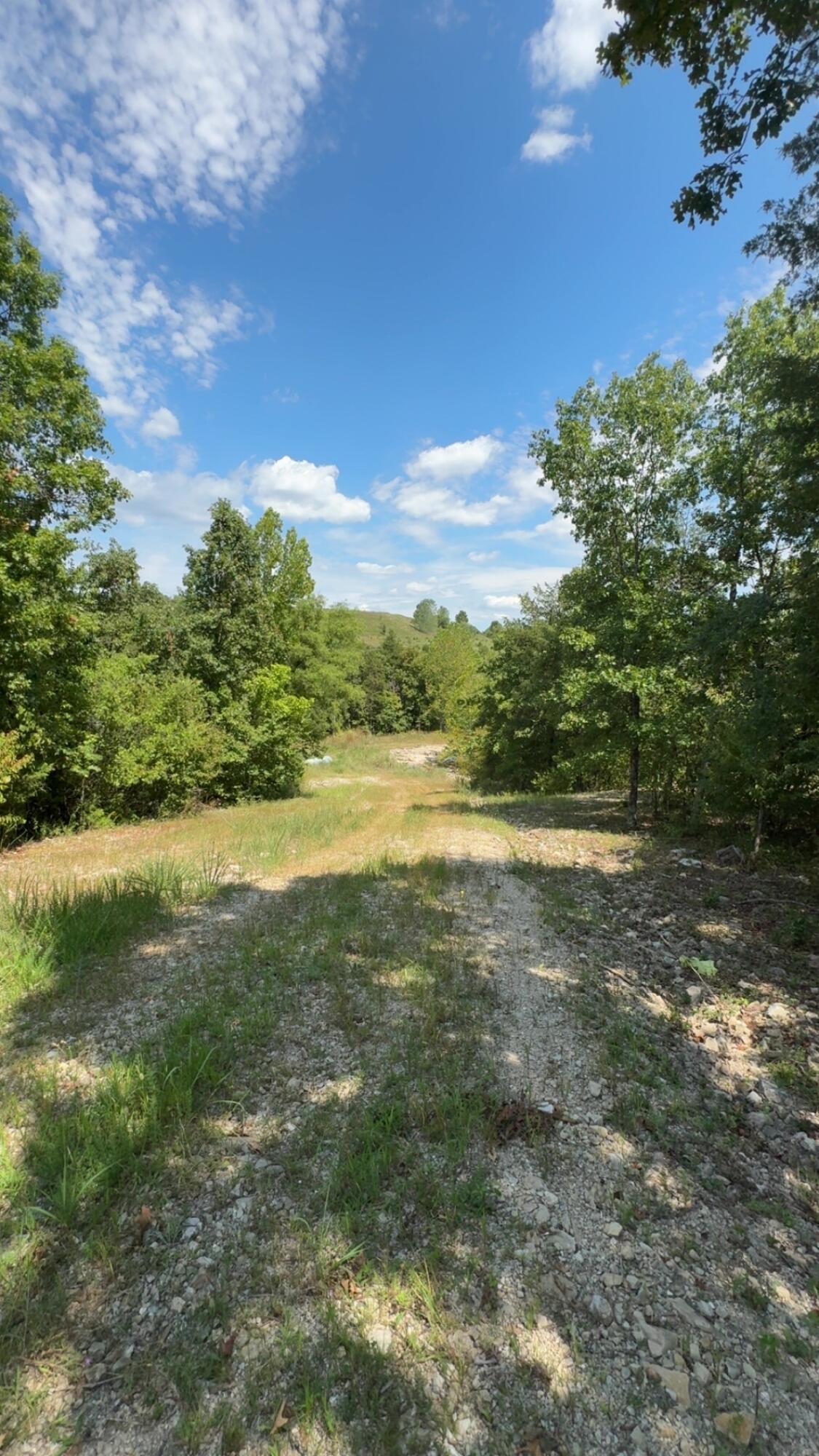 Photo 4 - Land for sale – 000  Branson Hills Parkway   Branson, MO