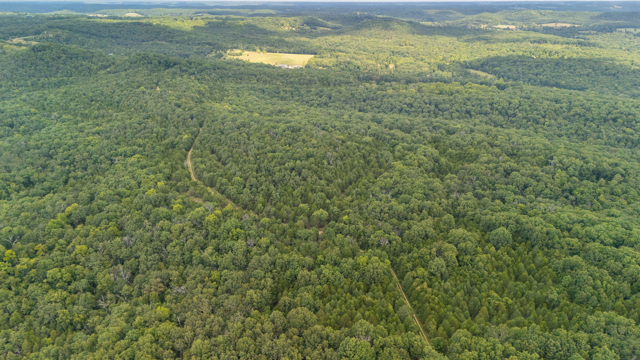 Photo 9 - Land for sale – 000  Merritt   Chadwick, MO