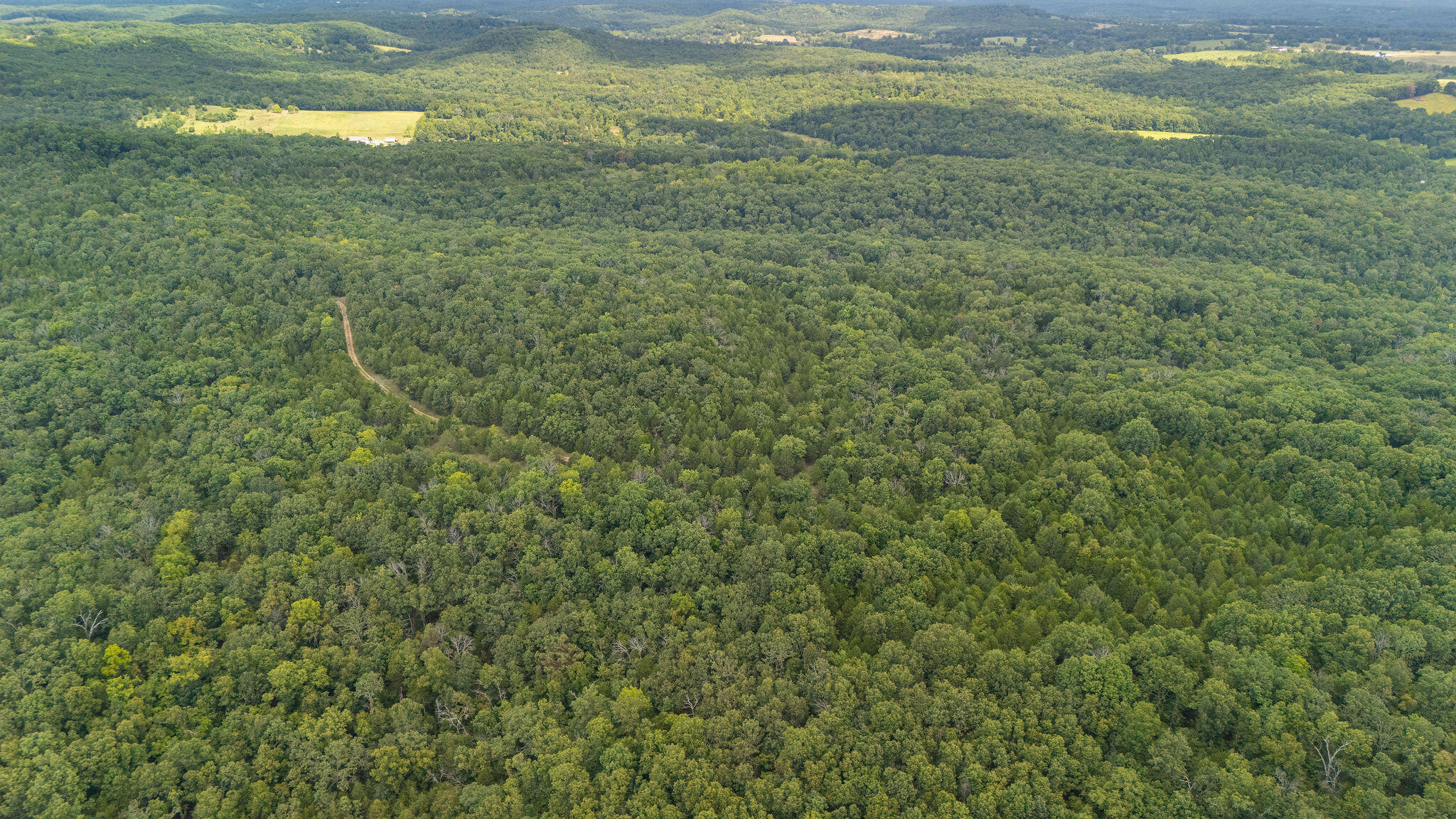 Photo 6 - Land for sale – 000  Merritt   Chadwick, MO