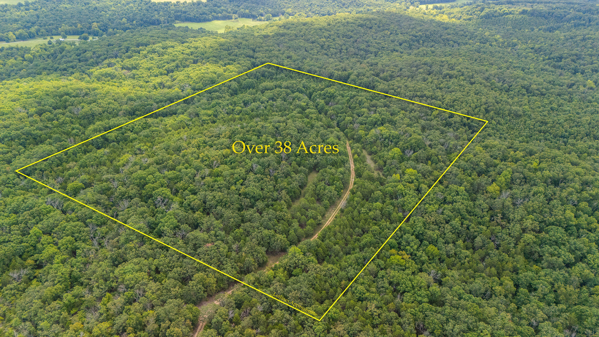 Photo 2 - Land for sale – 000  Merritt   Chadwick, MO