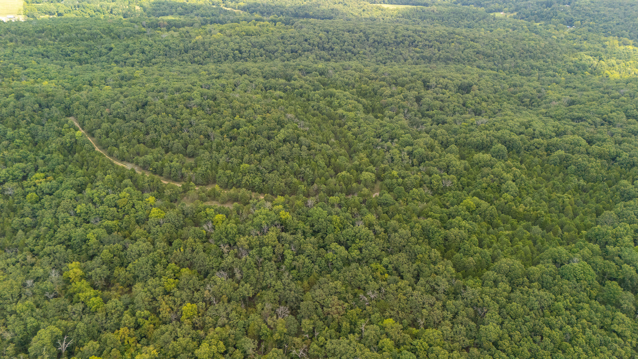 Photo 8 - Land for sale – 000  Merritt   Chadwick, MO