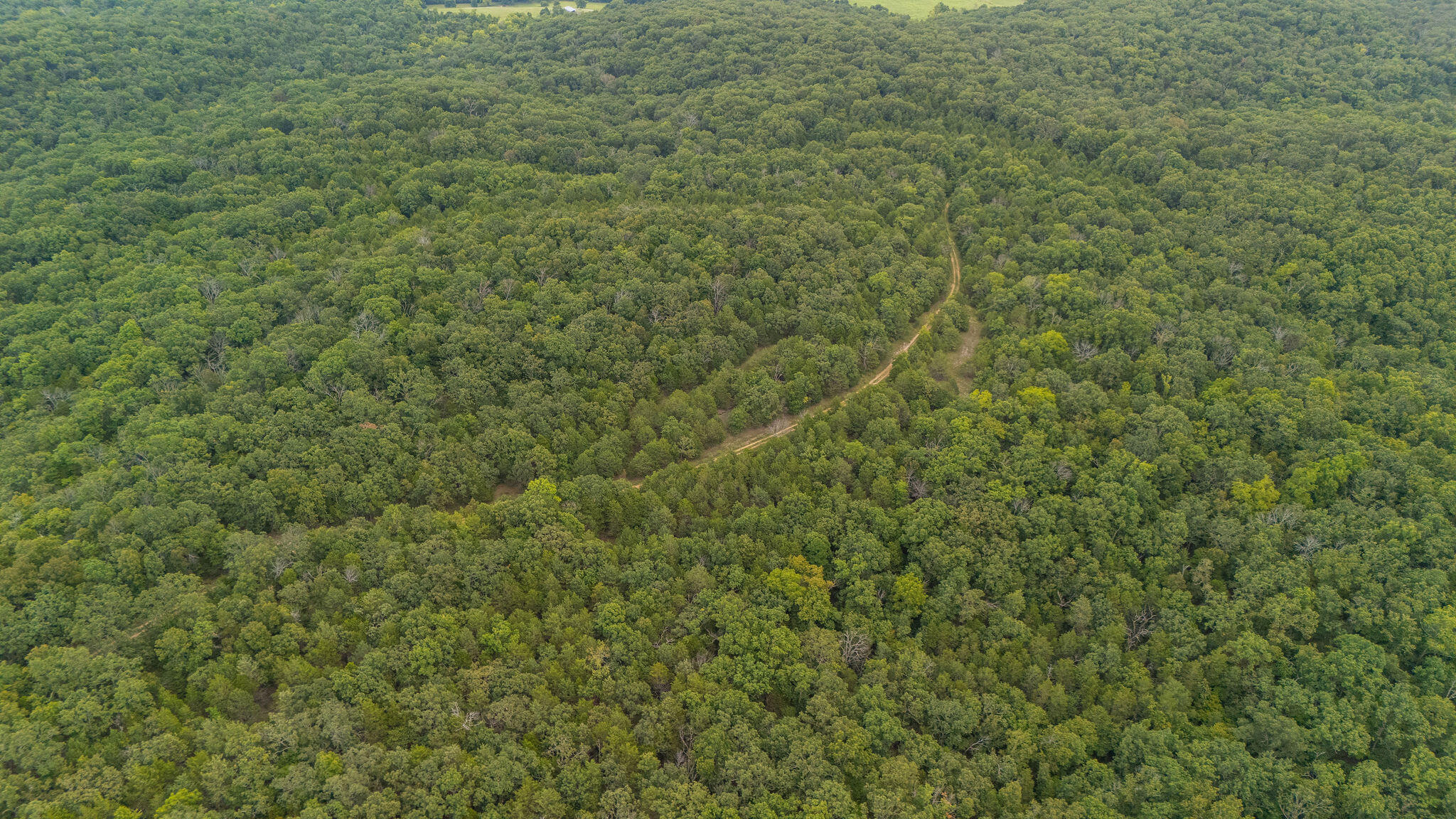 Photo 11 - Land for sale – 000  Merritt   Chadwick, MO