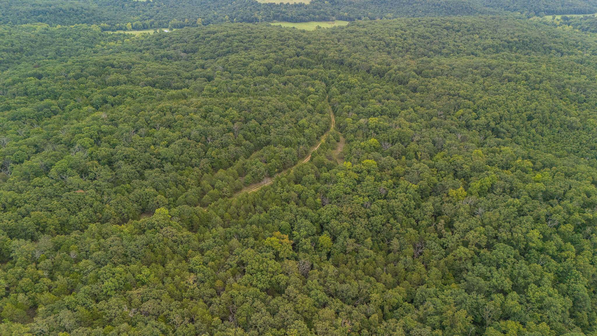 Photo 12 - Land for sale – 000  Merritt   Chadwick, MO
