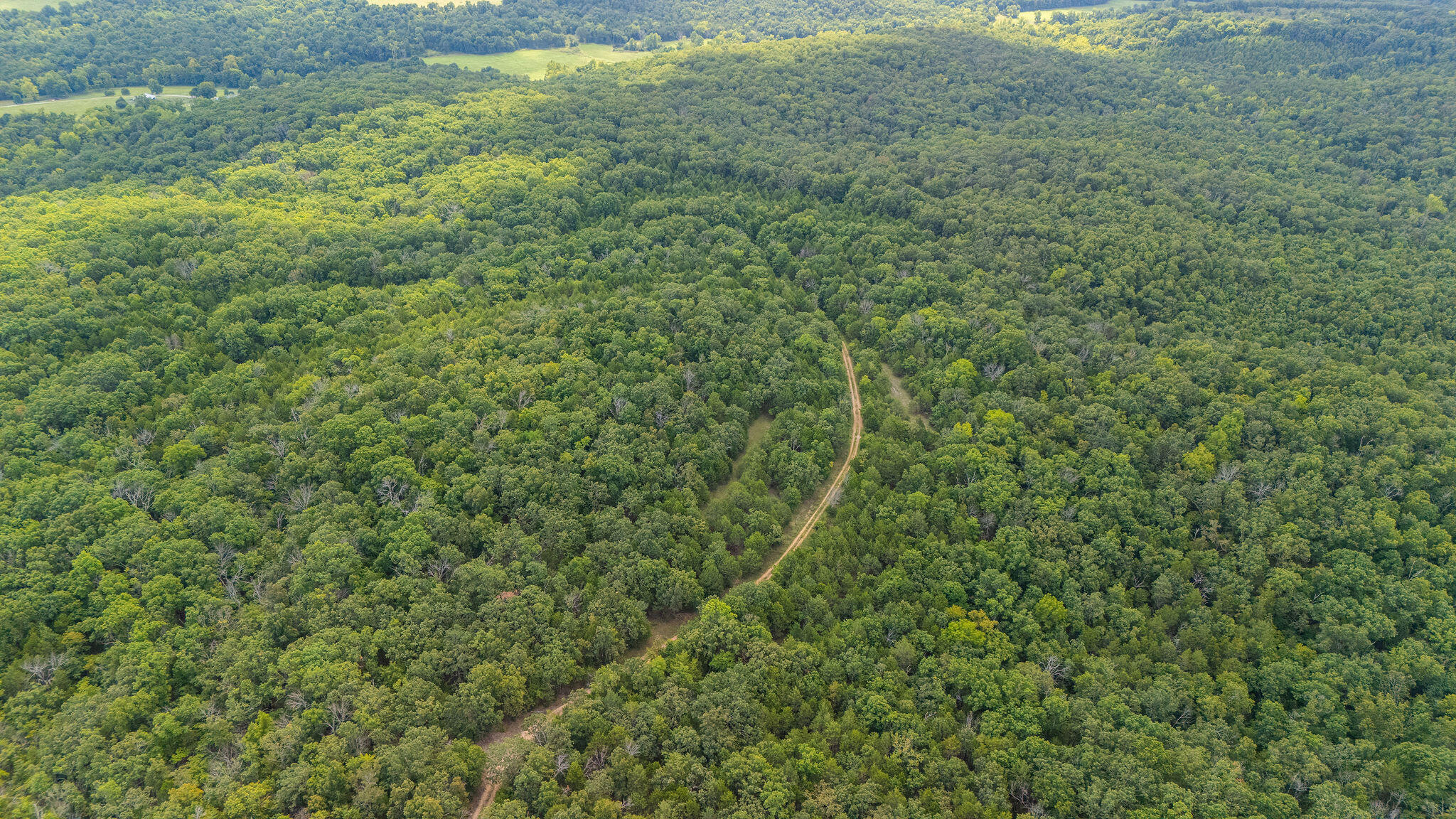 Photo 4 - Land for sale – 000  Merritt   Chadwick, MO