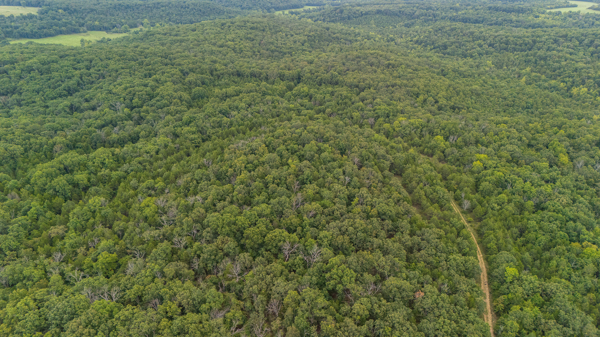 Photo 7 - Land for sale – 000  Merritt   Chadwick, MO