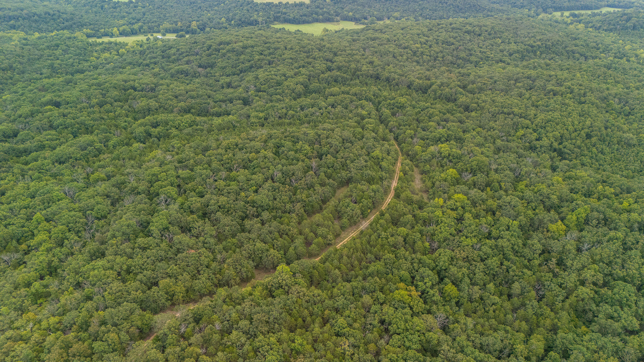 Photo 10 - Land for sale – 000  Merritt   Chadwick, MO