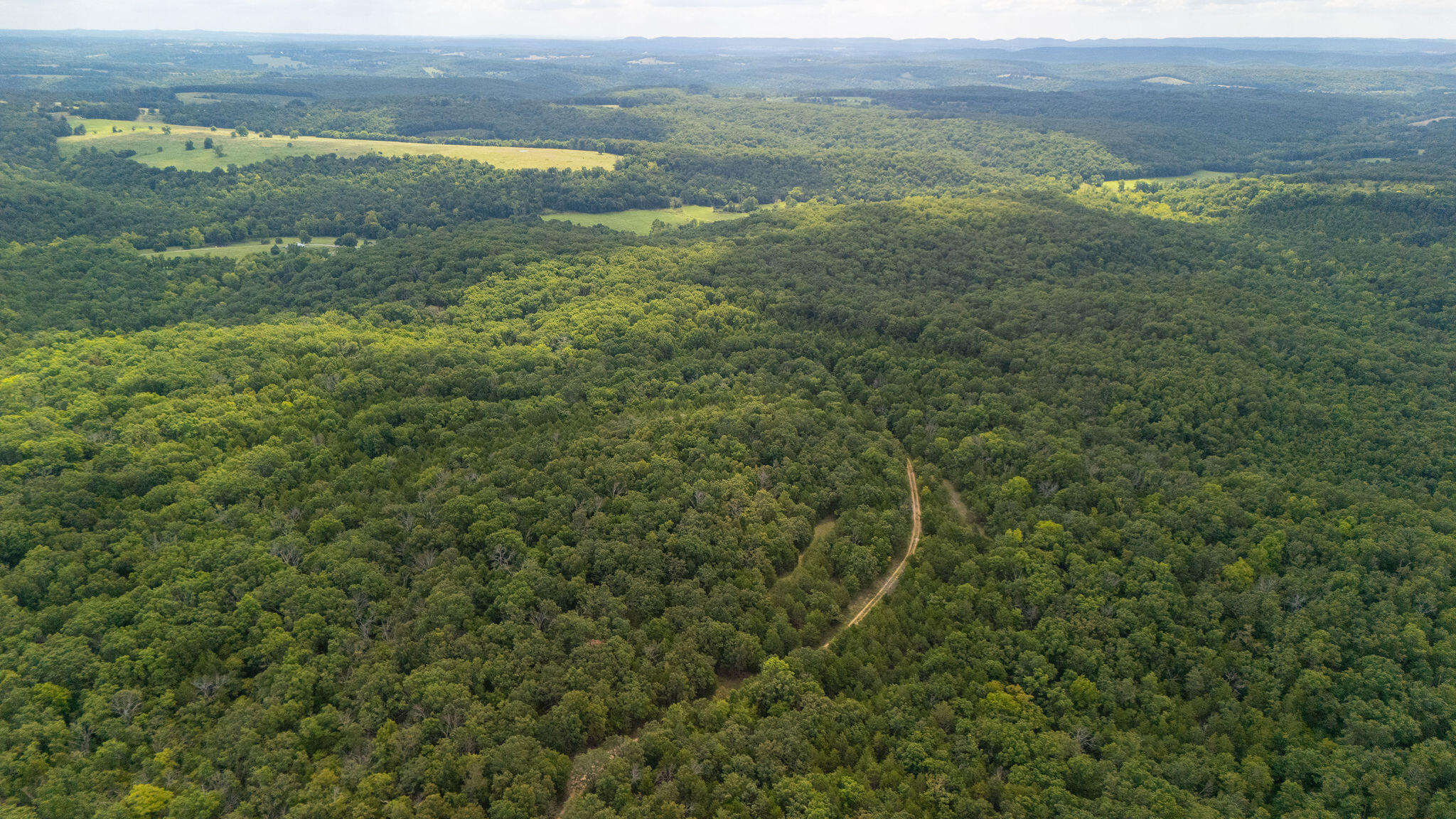 Photo 3 - Land for sale – 000  Merritt   Chadwick, MO