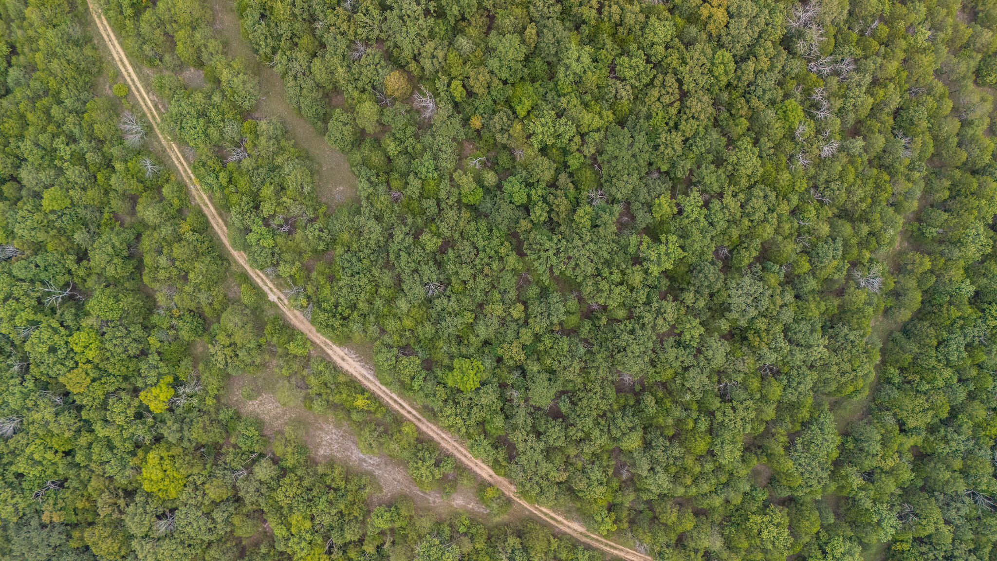 Photo 5 - Land for sale – 000  Merritt   Chadwick, MO