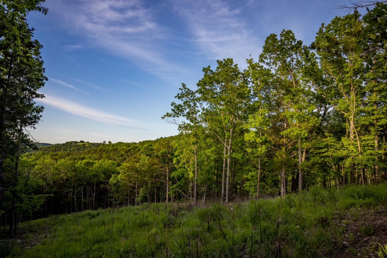 Photo 12 - Land for sale – 000  Patriot Drive  Forsyth, MO