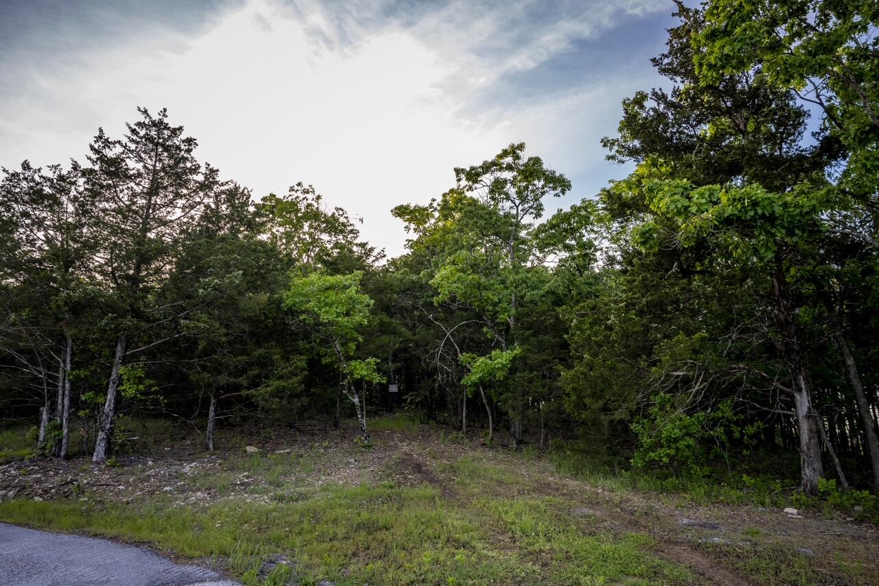 Photo 17 - Land for sale – 000  Patriot Drive  Forsyth, MO