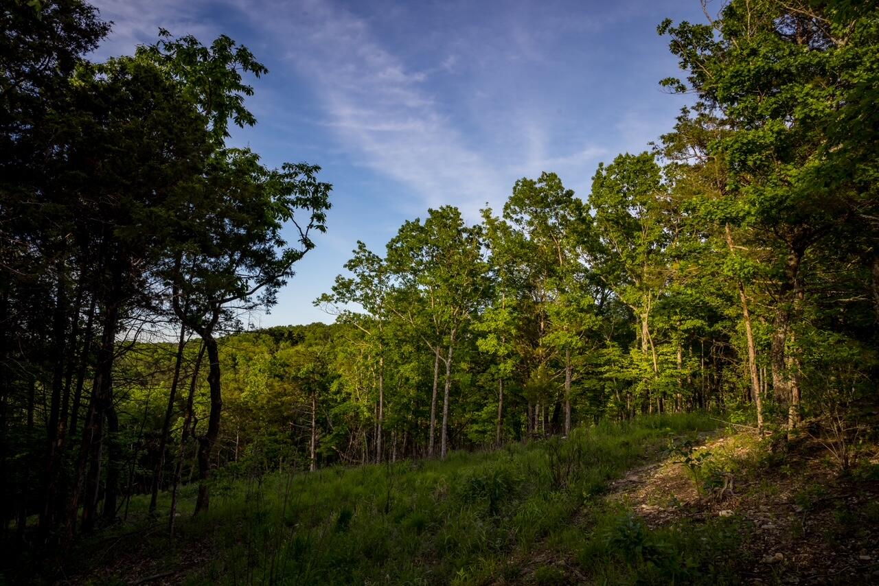 Photo 13 - Land for sale – 000  Patriot Drive  Forsyth, MO
