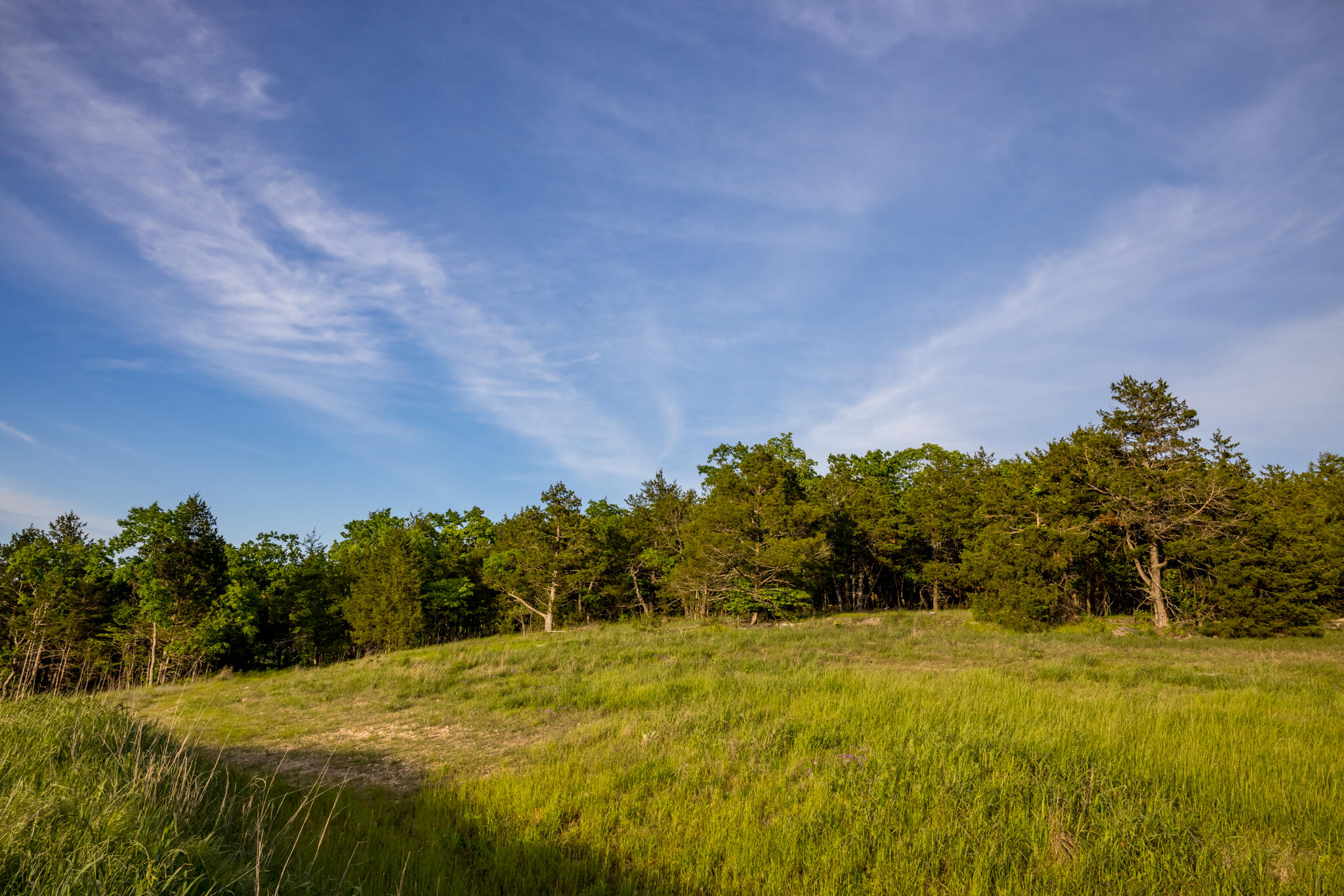 Photo 18 - Land for sale – 000  Patriot Drive  Forsyth, MO