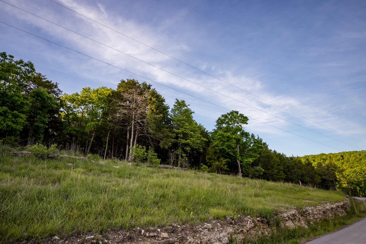Photo 21 - Land for sale – 000  Patriot Drive  Forsyth, MO