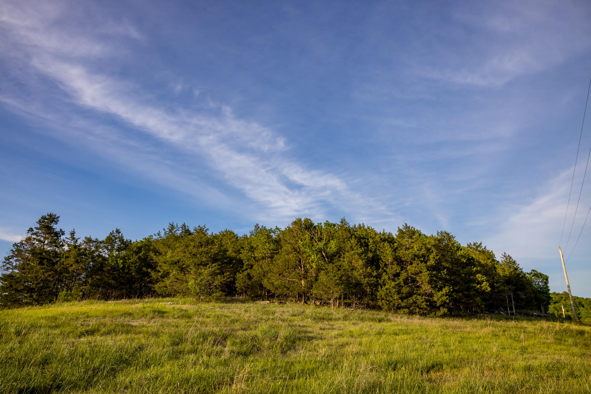 Photo 20 - Land for sale – 000  Patriot Drive  Forsyth, MO
