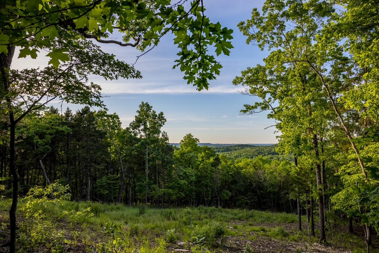 Photo 15 - Land for sale – 000  Patriot Drive  Forsyth, MO
