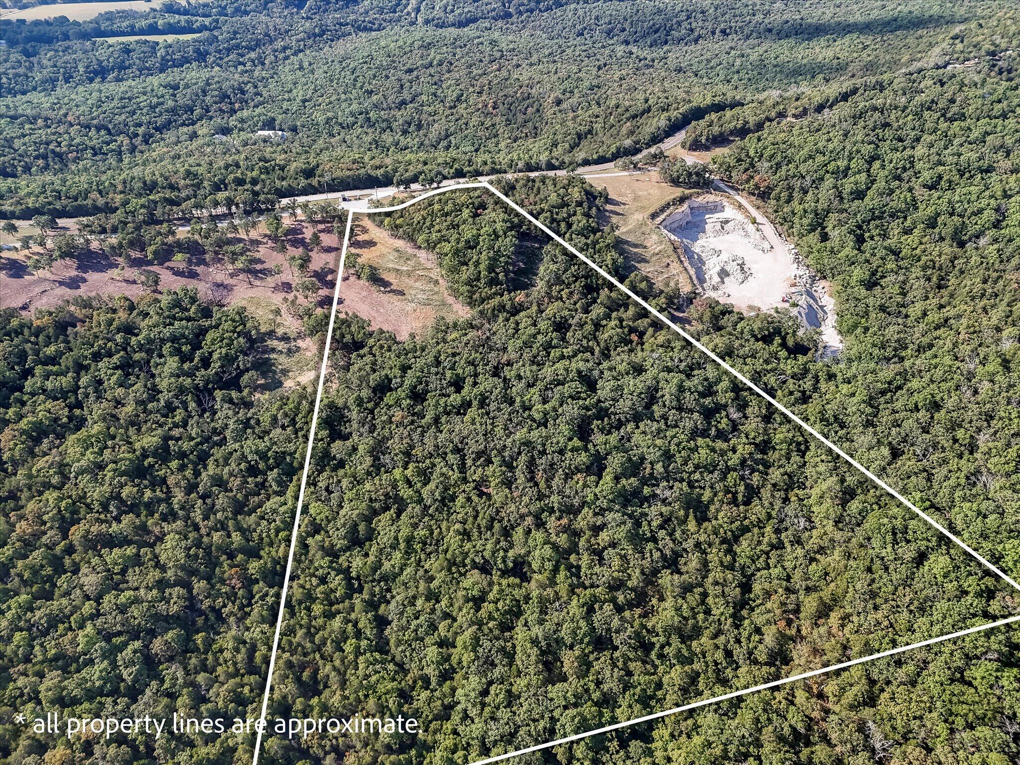 Photo 3 - Land for sale – 000  Patriot Drive  Forsyth, MO