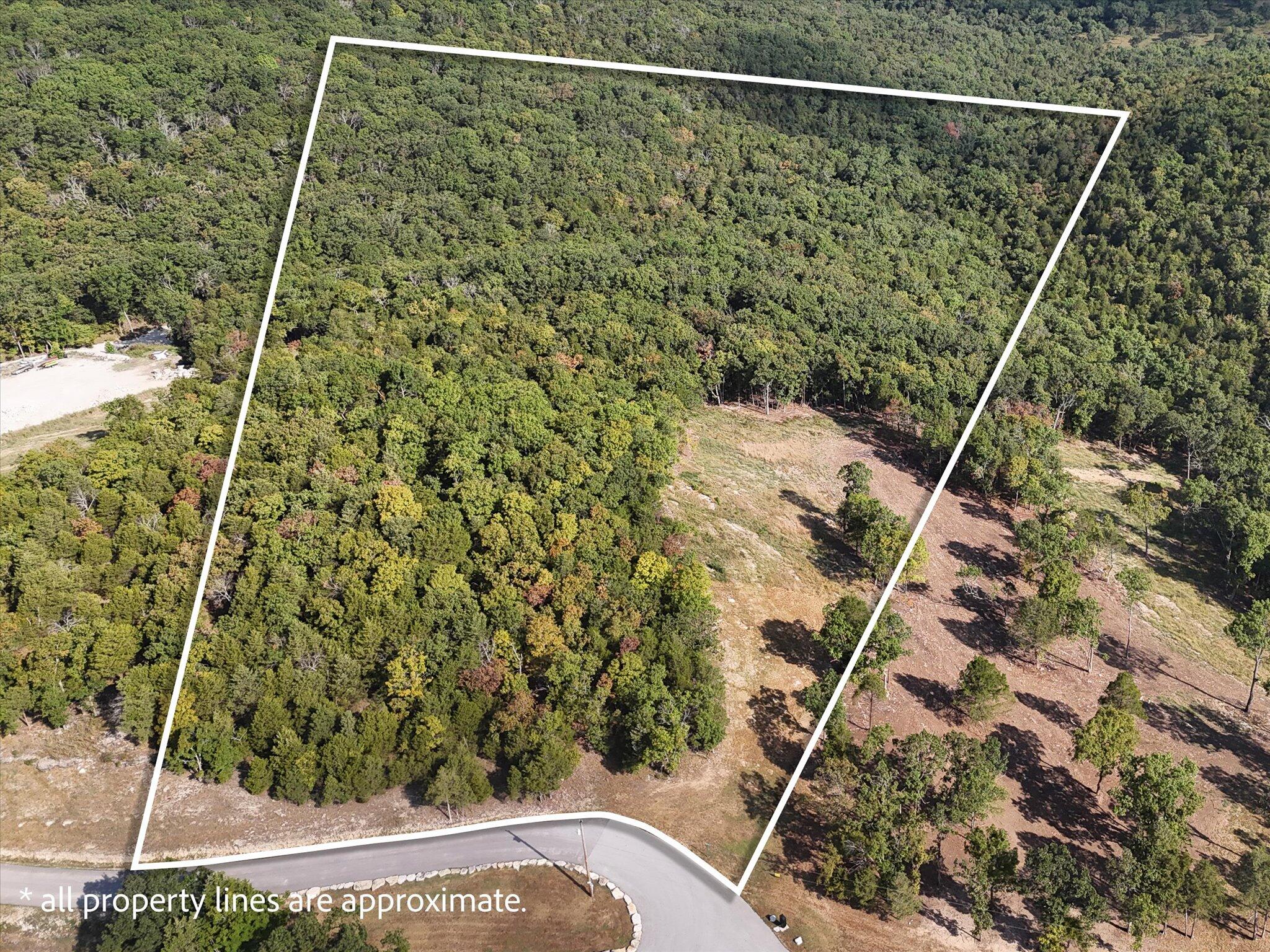 Photo 2 - Land for sale – 000  Patriot Drive  Forsyth, MO