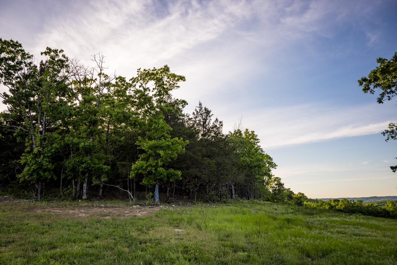 Photo 16 - Land for sale – 000  Patriot Drive  Forsyth, MO