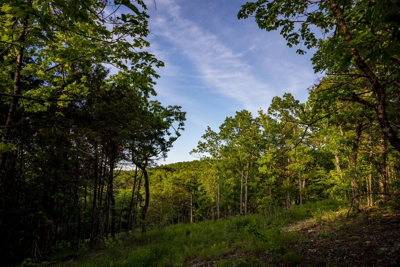 Photo 14 - Land for sale – 000  Patriot Drive  Forsyth, MO
