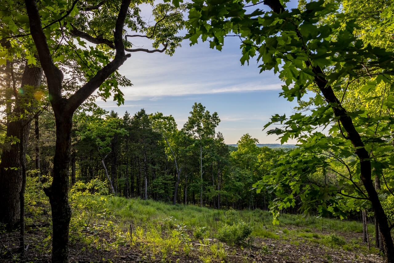 Photo 10 - Land for sale – 000  Patriot Drive  Forsyth, MO