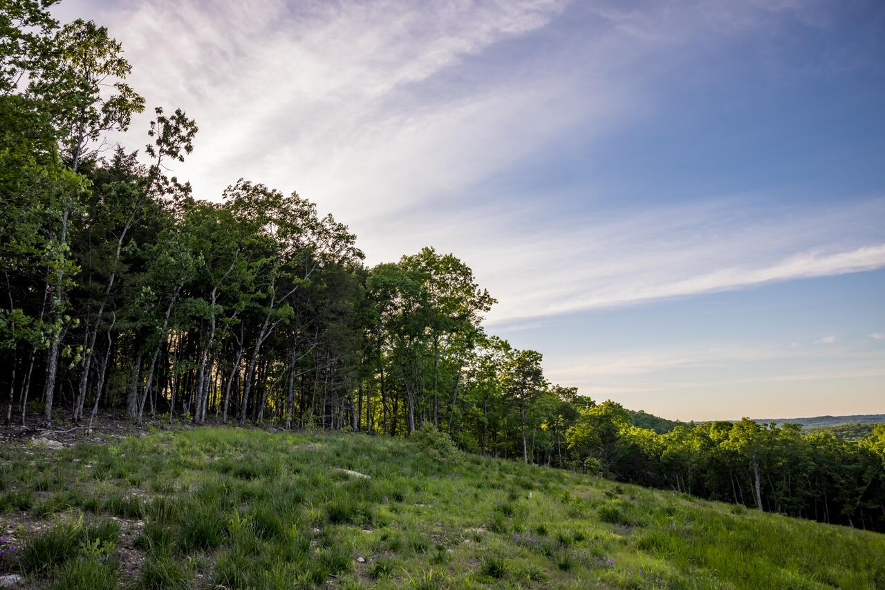 Photo 6 - Land for sale – 000  Patriot Drive  Forsyth, MO
