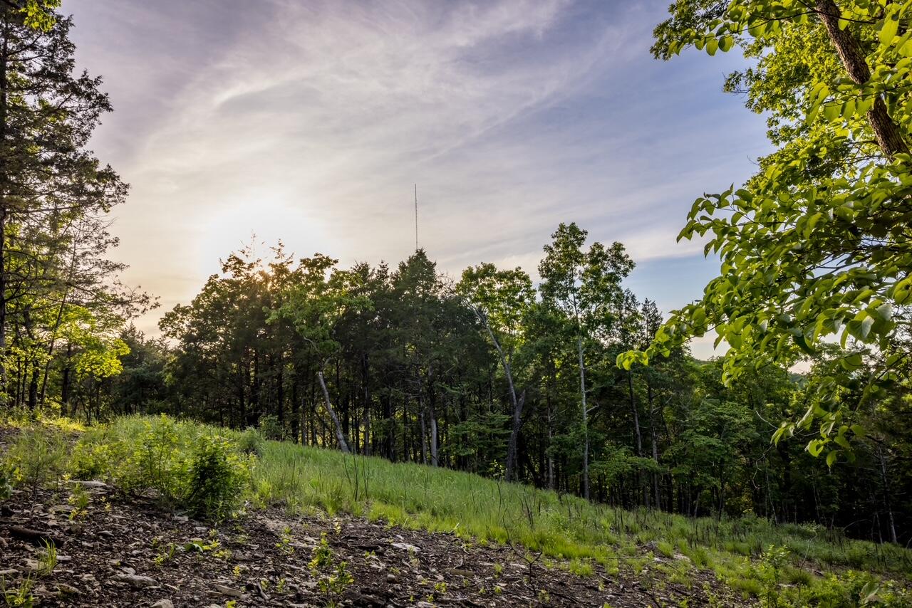 Photo 11 - Land for sale – 000  Patriot Drive  Forsyth, MO