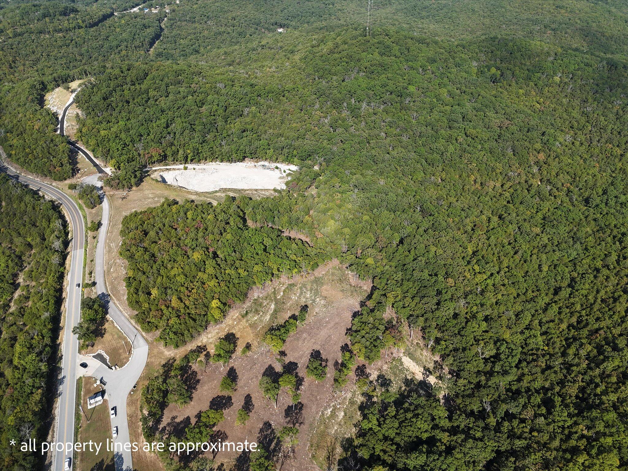 Photo 5 - Land for sale – 000  Patriot Drive  Forsyth, MO