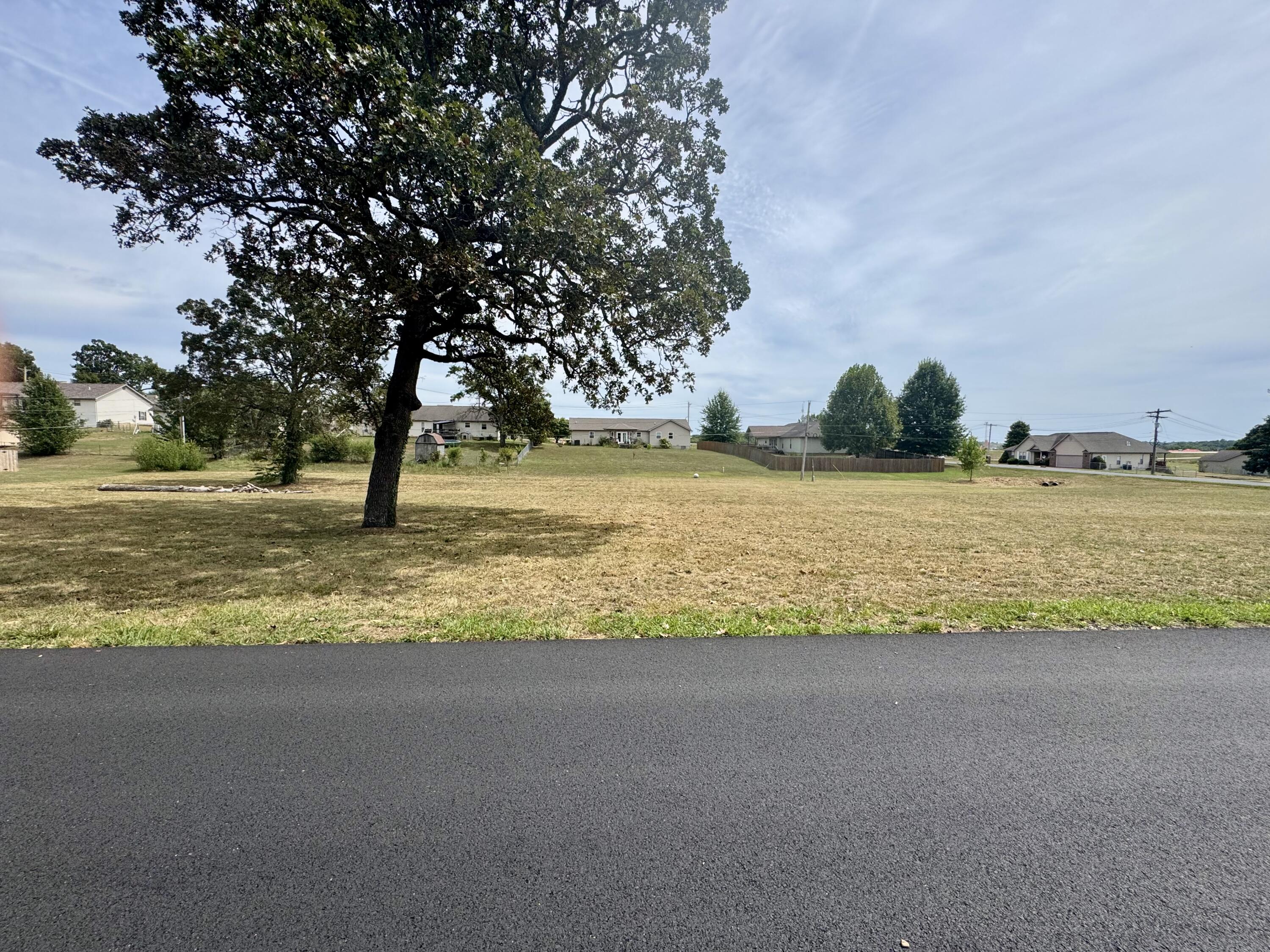 Photo 5 - Land for sale – 000  Lee Anna Drive  West Plains, MO