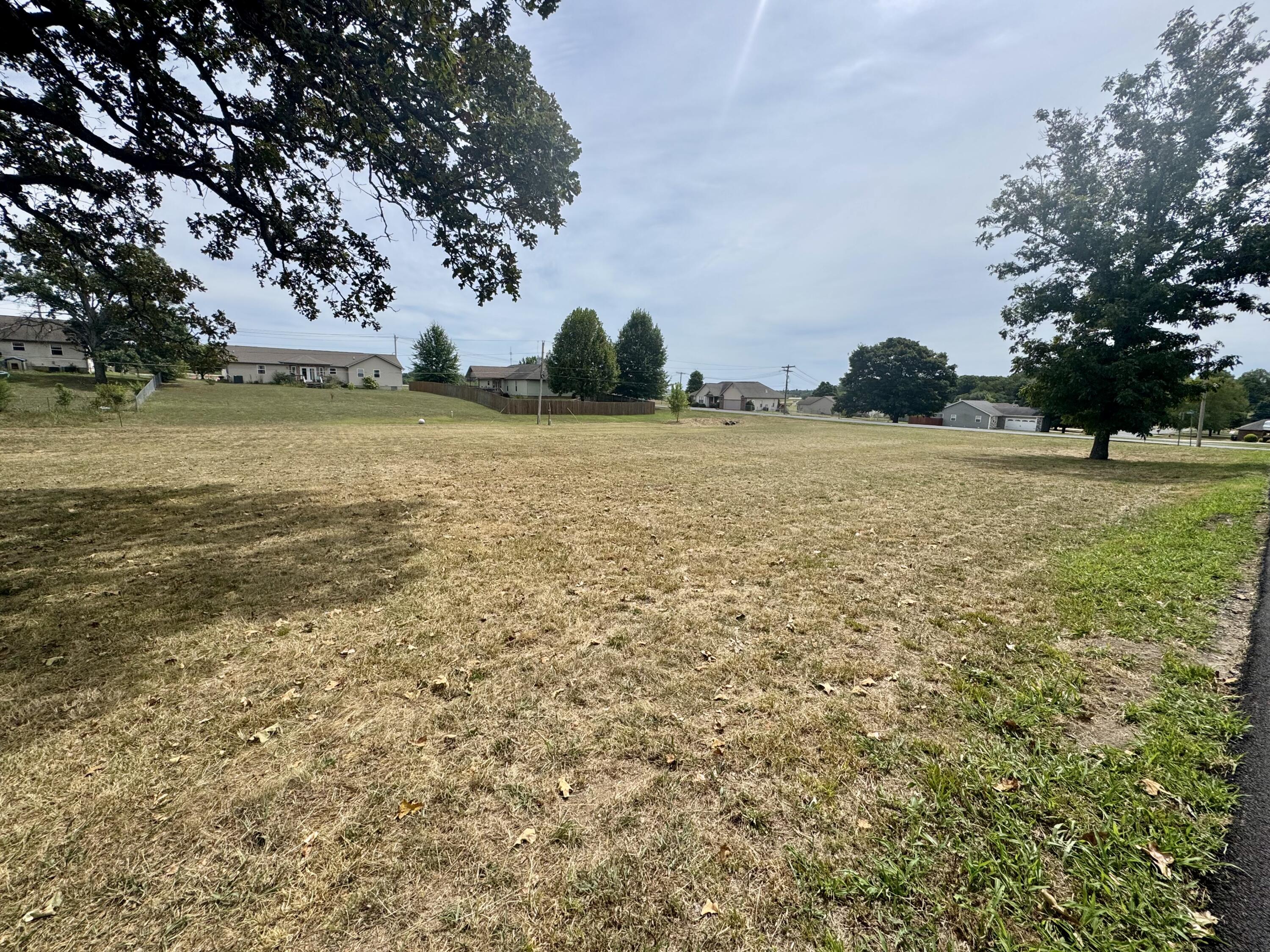 Photo 4 - Land for sale – 000  Lee Anna Drive  West Plains, MO