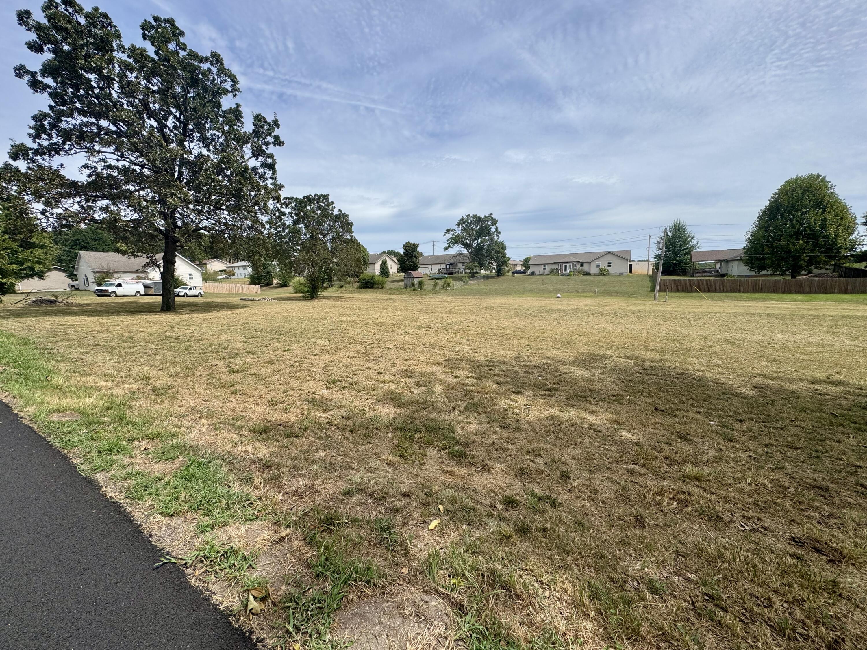 Photo 3 - Land for sale – 000  Lee Anna Drive  West Plains, MO
