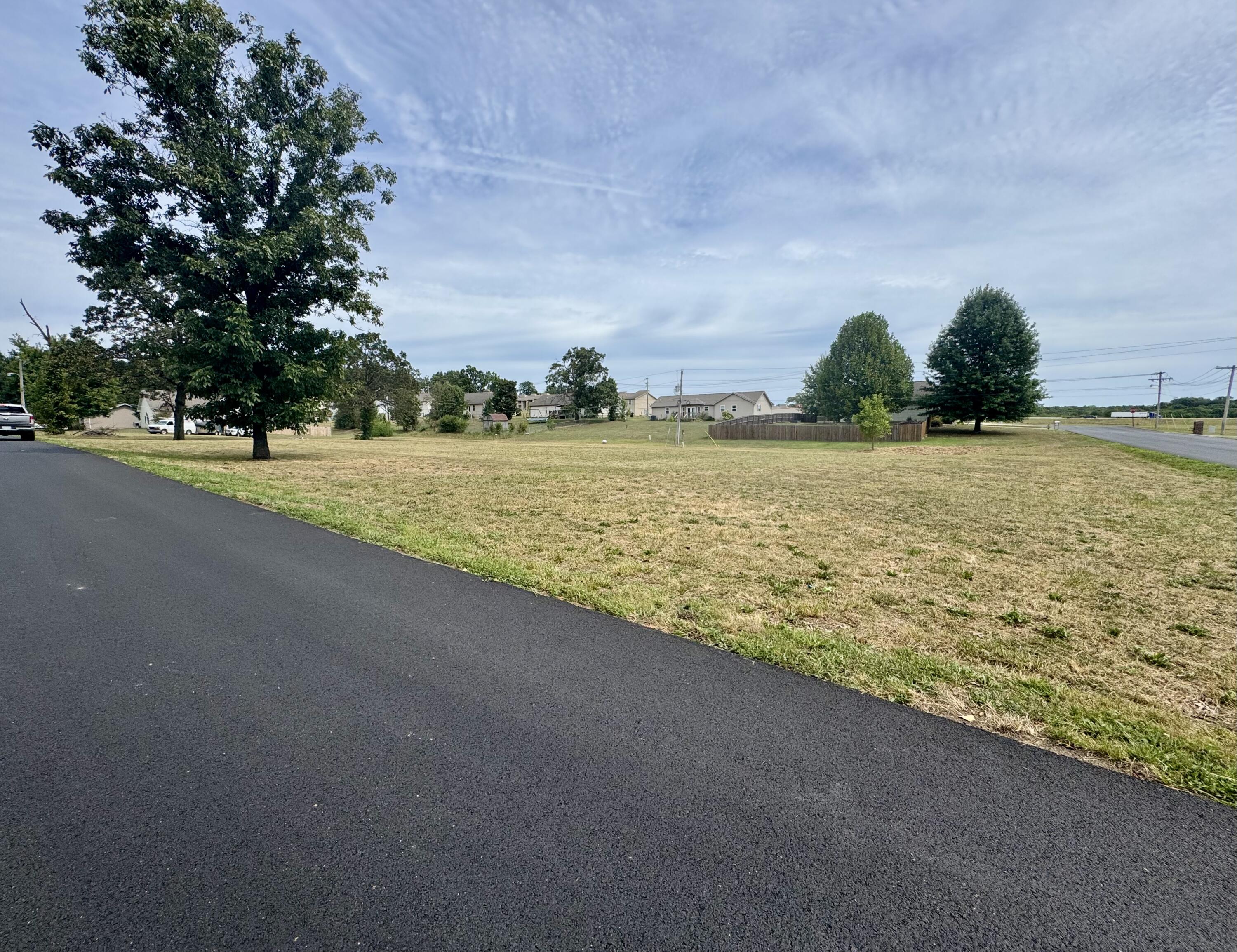 Photo 2 - Land for sale – 000  Lee Anna Drive  West Plains, MO