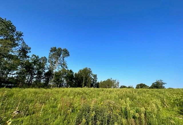 Land for sale – 000  Co Rd 3440   Mountain View, MO