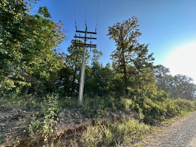 Photo 11 - Land for sale – 000  Co Rd 3440   Mountain View, MO