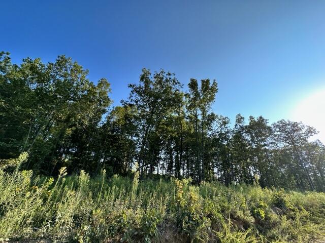 Photo 12 - Land for sale – 000  Co Rd 3440   Mountain View, MO