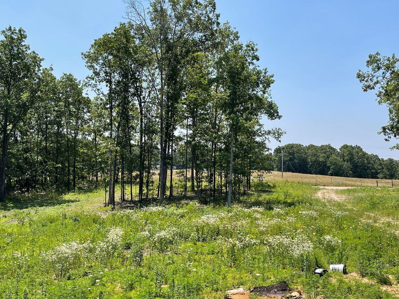 Photo 2 - Land for sale – 000  Co Rd 3440   Mountain View, MO