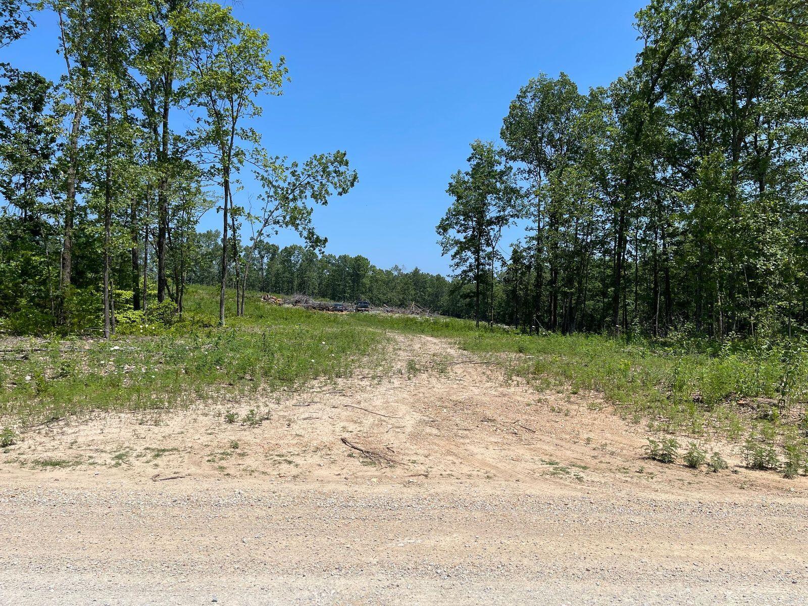 Photo 5 - Land for sale – 000  Co Rd 3440   Mountain View, MO