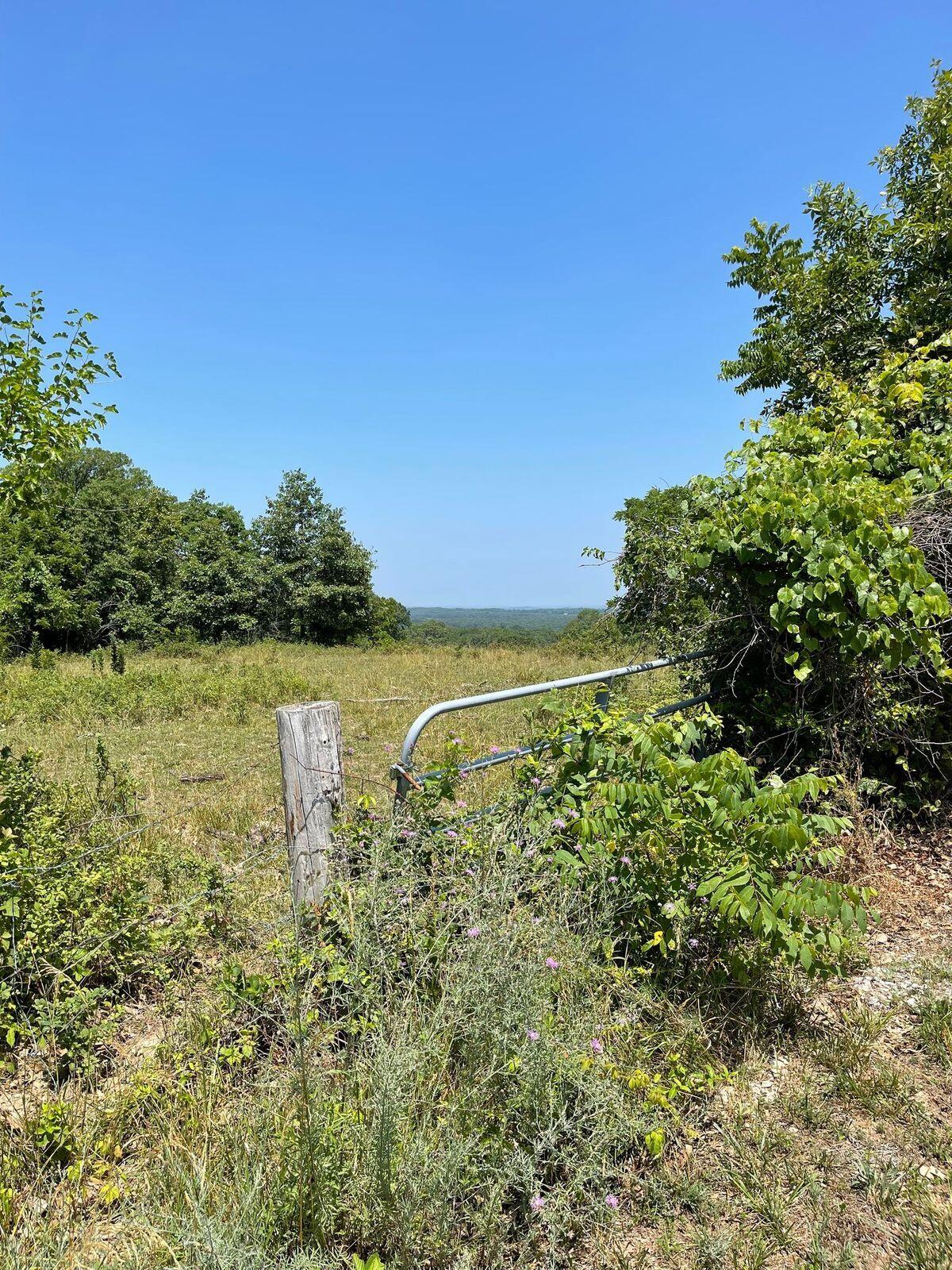 Photo 13 - Land for sale – 000  Co Rd 3440   Mountain View, MO