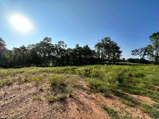 Photo 10 - Land for sale – 000  Co Rd 3440   Mountain View, MO