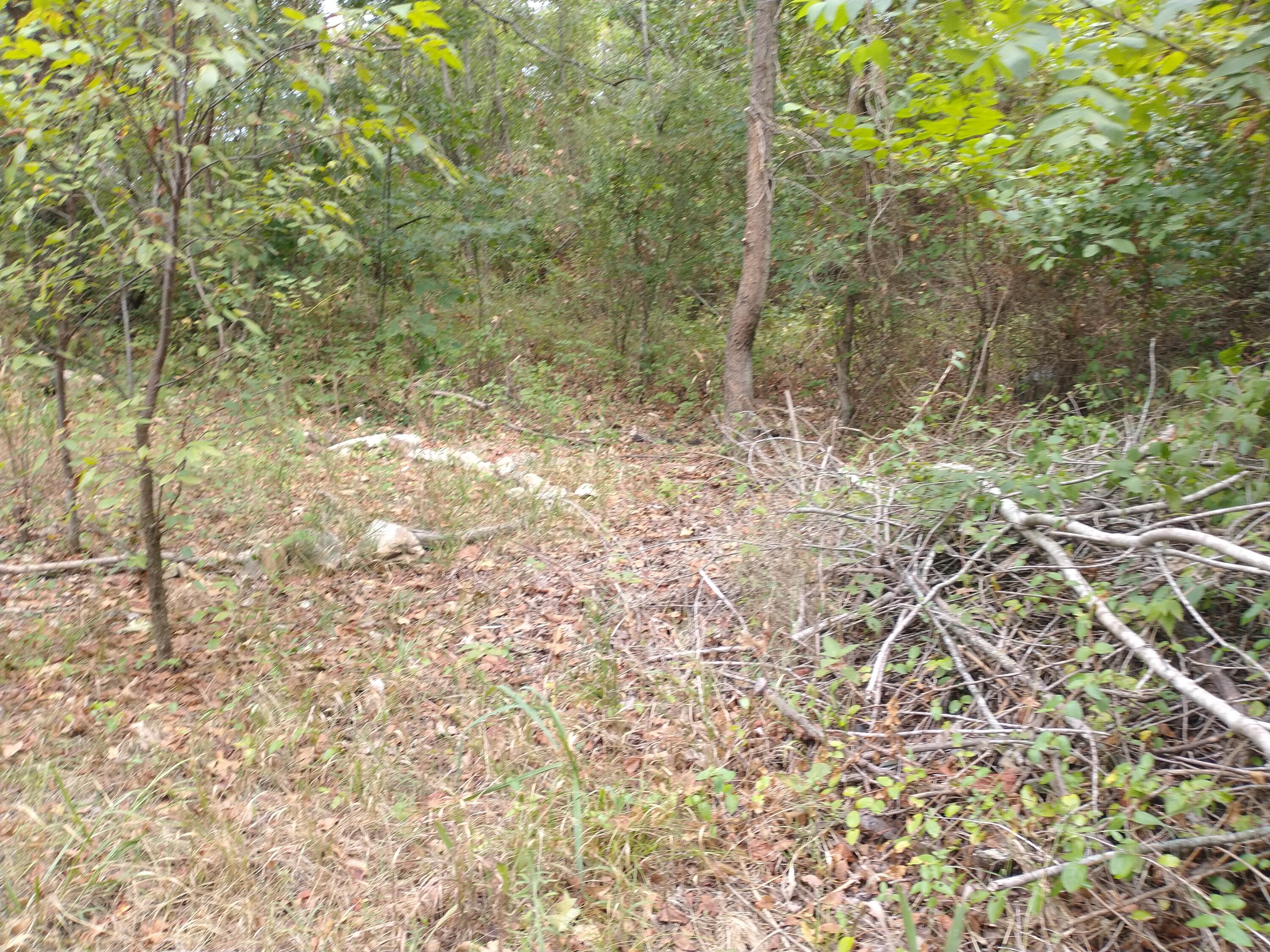 Land for sale – 220  Harmony Lane  Branson, MO